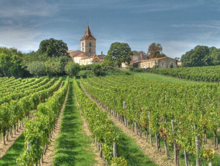 Bordeaux wine tasting tour