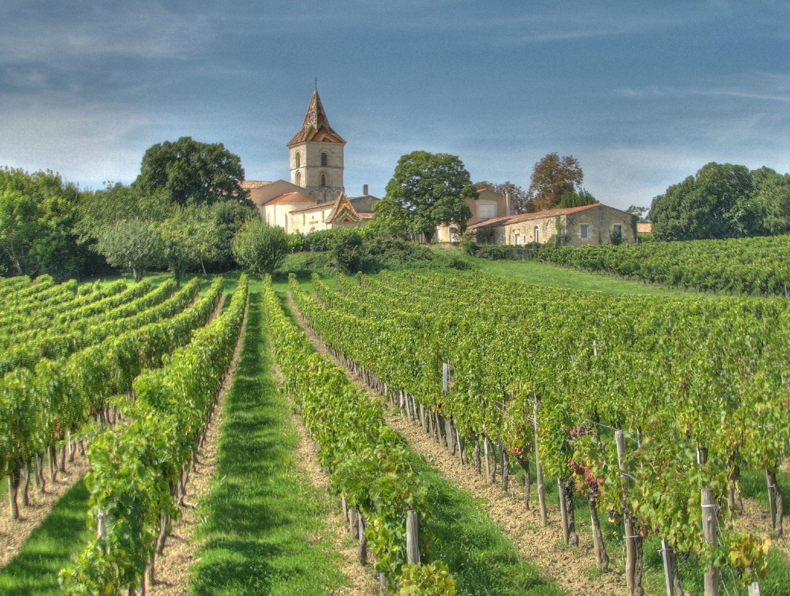 Bordeaux wine tasting tour