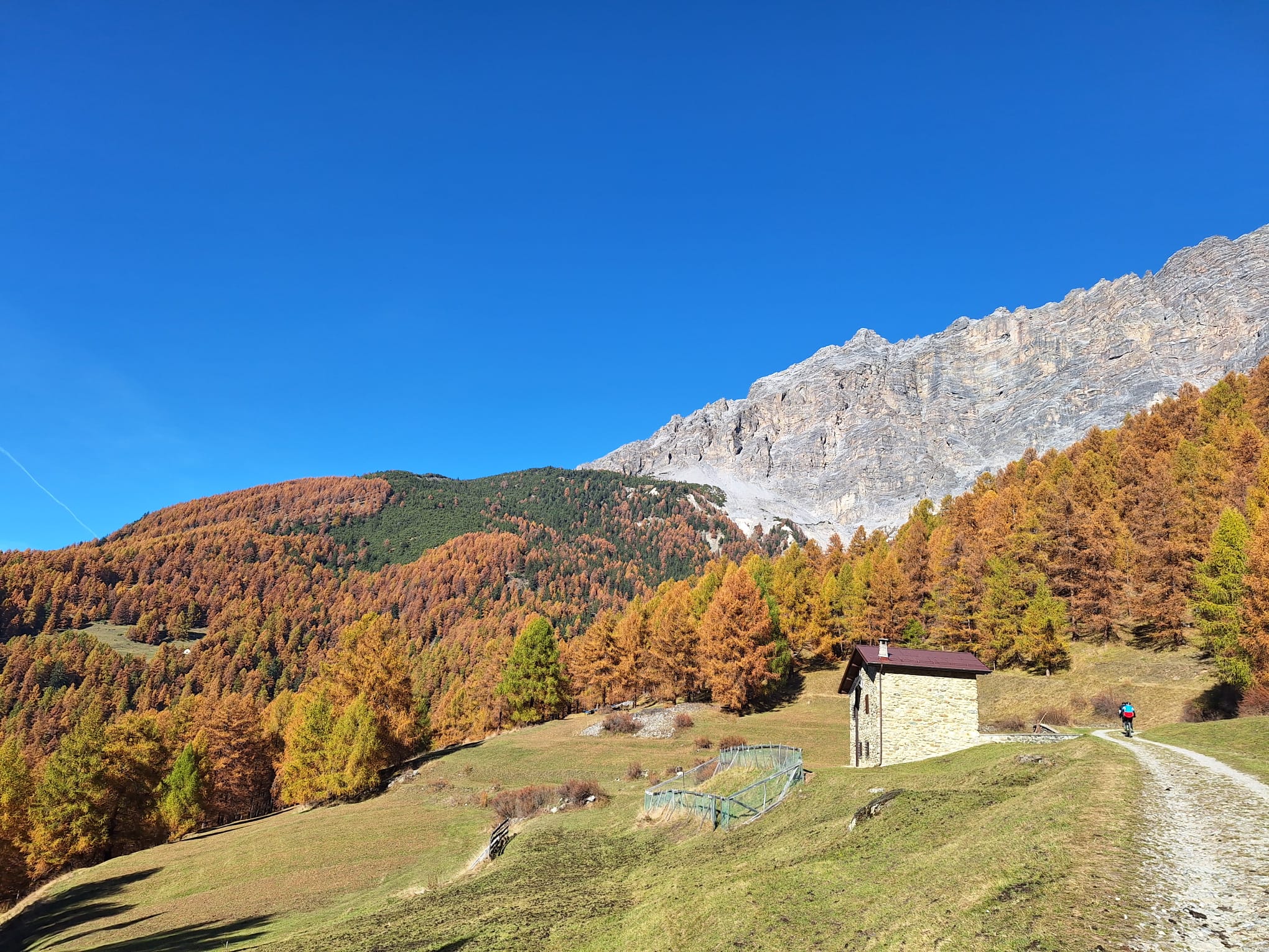 Vivere l’autunno in Valtellina: un viaggio tra sapori, colori e tradizioni alpine…
